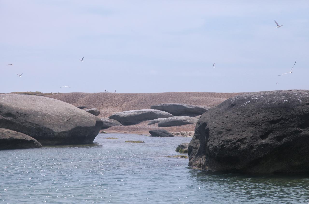 F-Marine Resort Артём Экстерьер фото